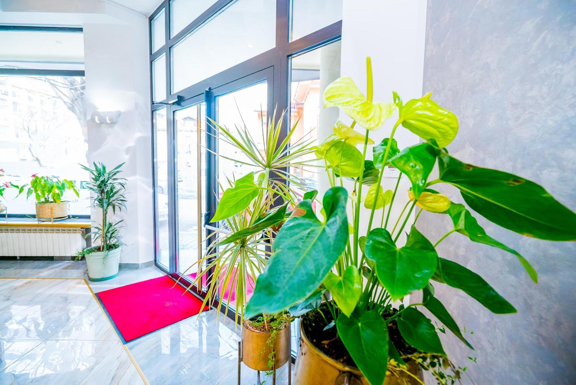 Guci Hotel Κονστάντζα Εξωτερικό φωτογραφία